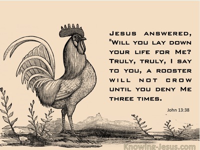 John 13:38 A Rooster Will Not Crow Until You Deny Me Three Times (pink)